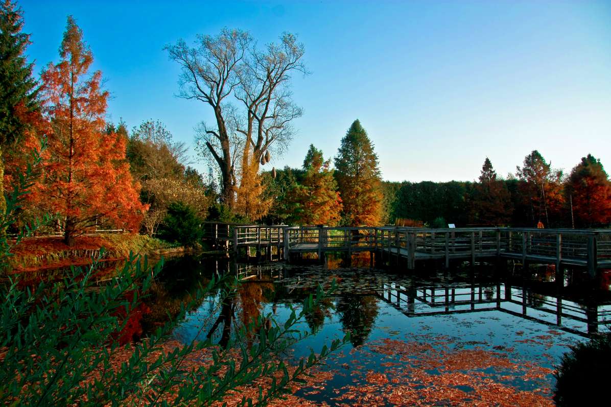 Bolestraszyce_arboretum.jpg