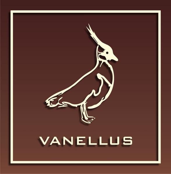 vanellus01